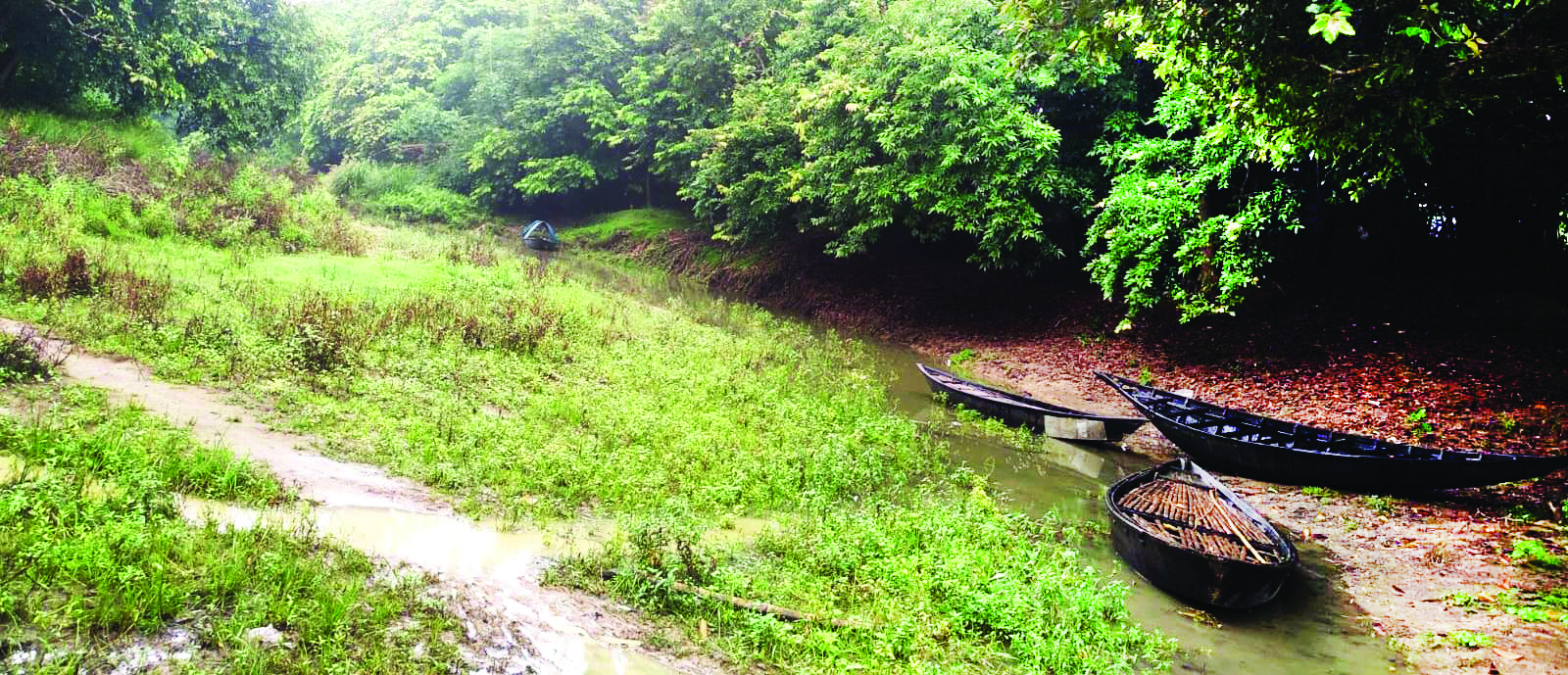 Balurghat: Drying up of Kashia Canal spells trouble for fishermen & farmers Balurghat: Drying up of Kashia Canal spells trouble for fishermen & farmers