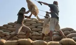 Govt mulls tweaking OMSS norms as buyers show no interest