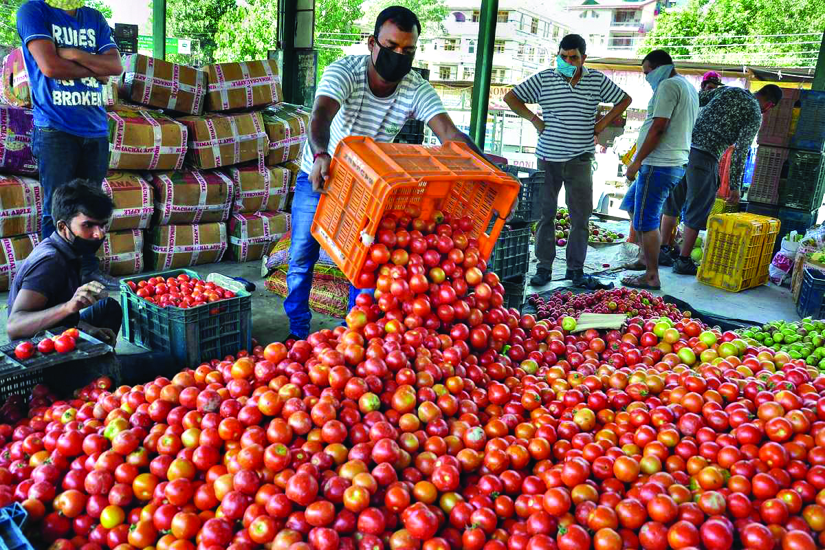Heavy rains push up retail tomato prices to Rs 200/kg