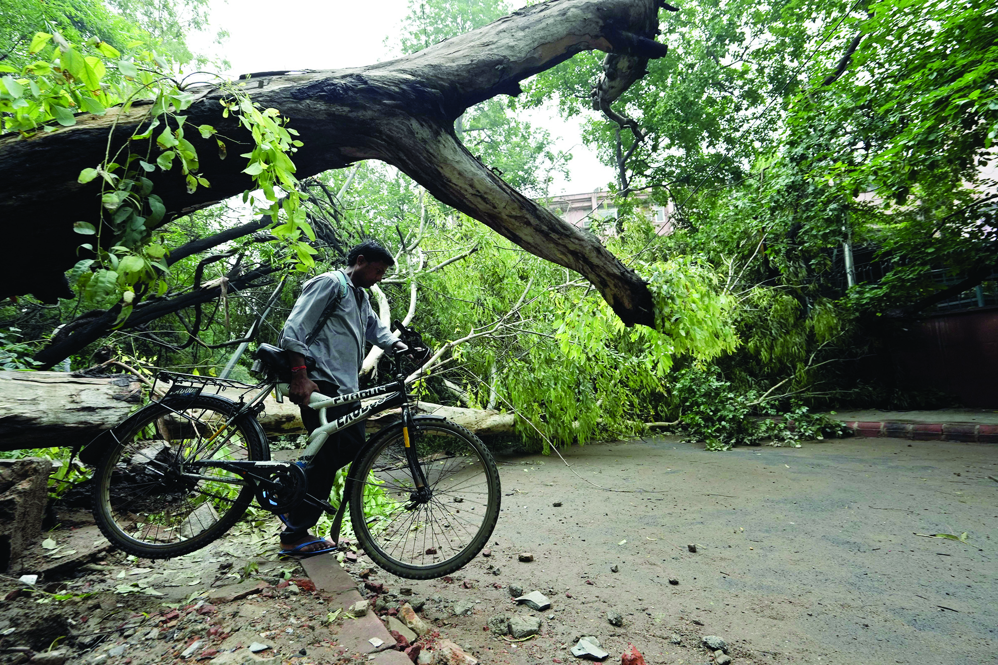 To deal with on-site accidents: PWD to form emergency response teams To deal with on-site accidents: PWD to form emergency response teams