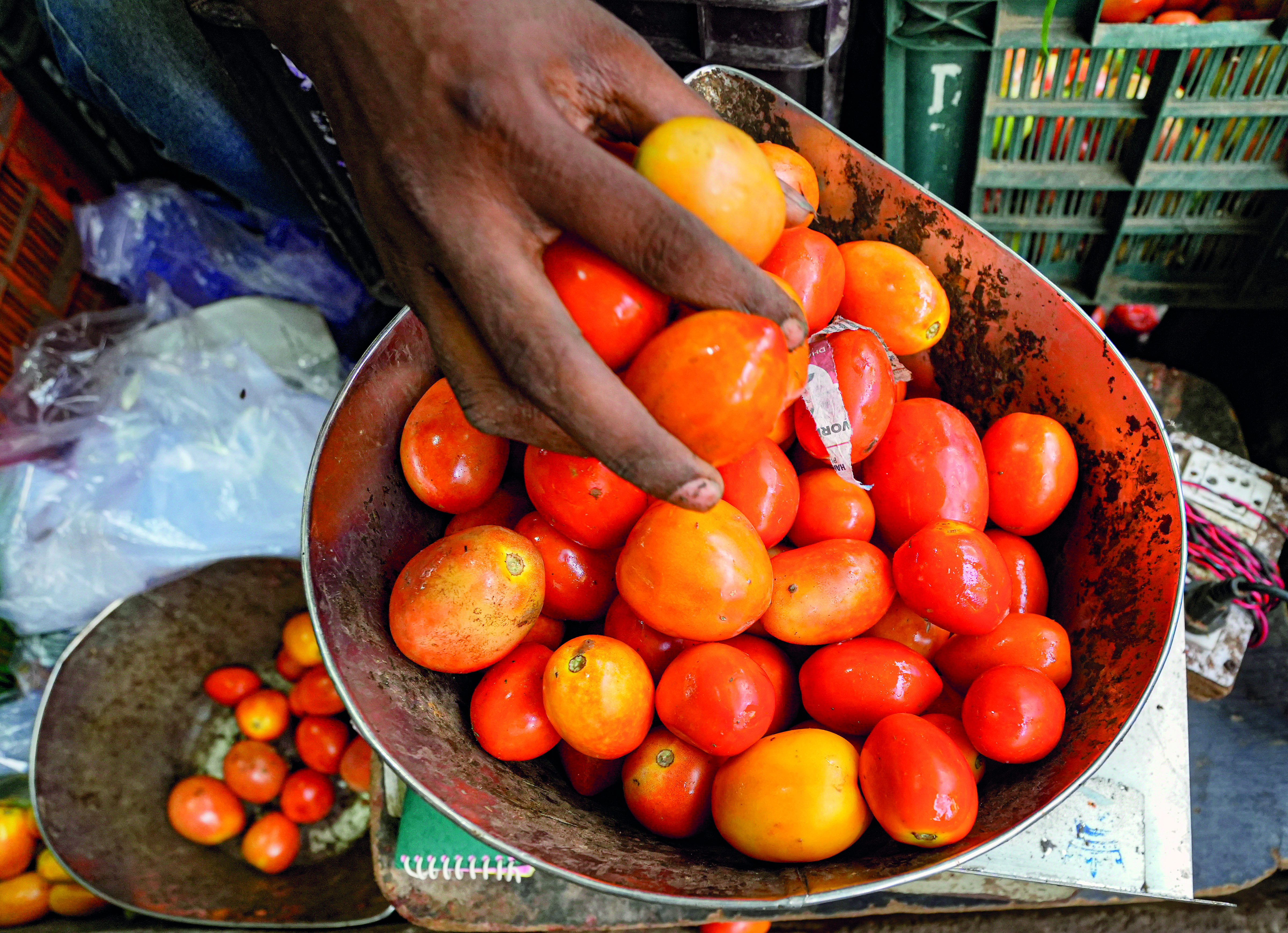 Centre to sell tomatoes at discounted   rates in national Capital, other cities