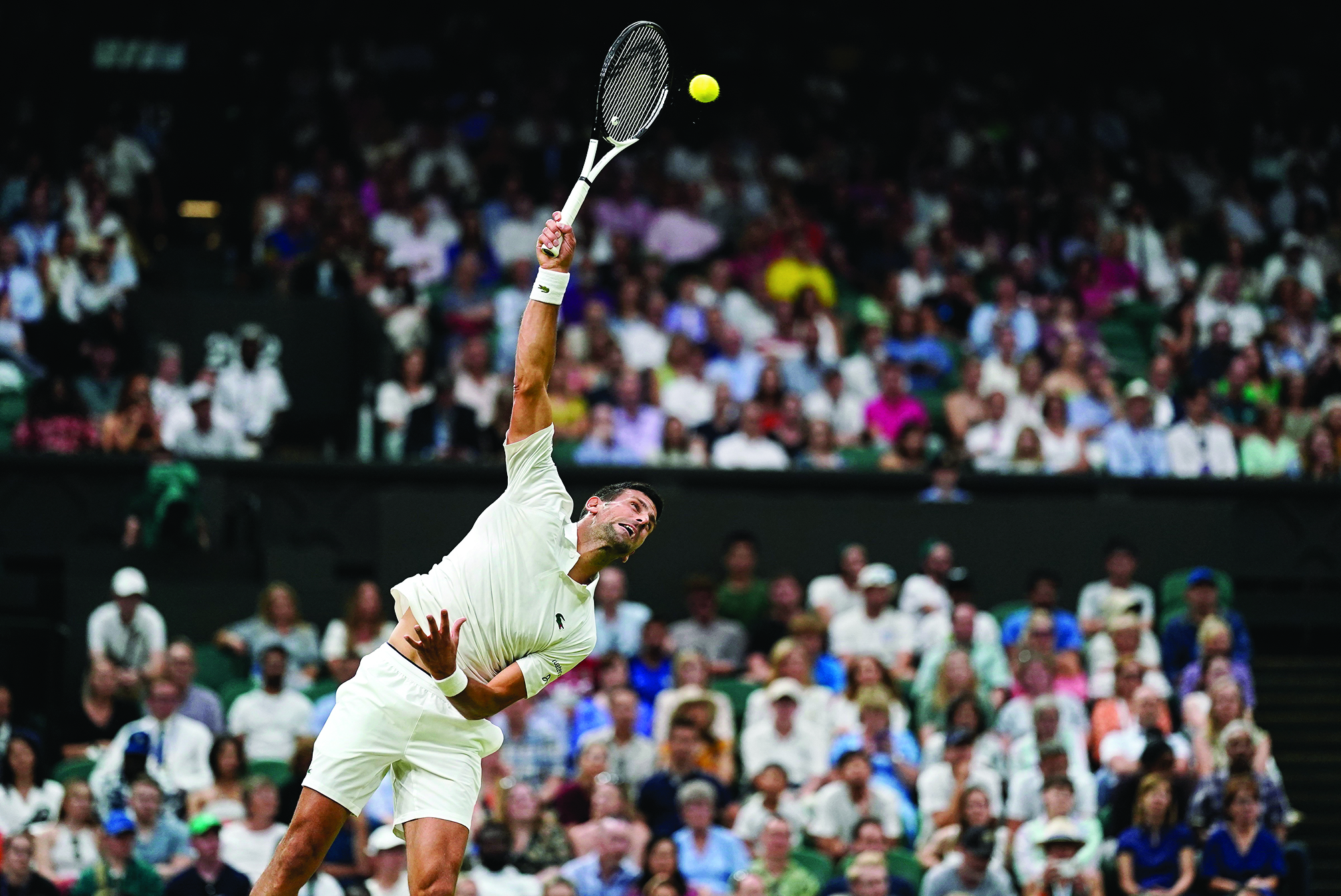 Djokovic seems to be favourite at Wimbledon