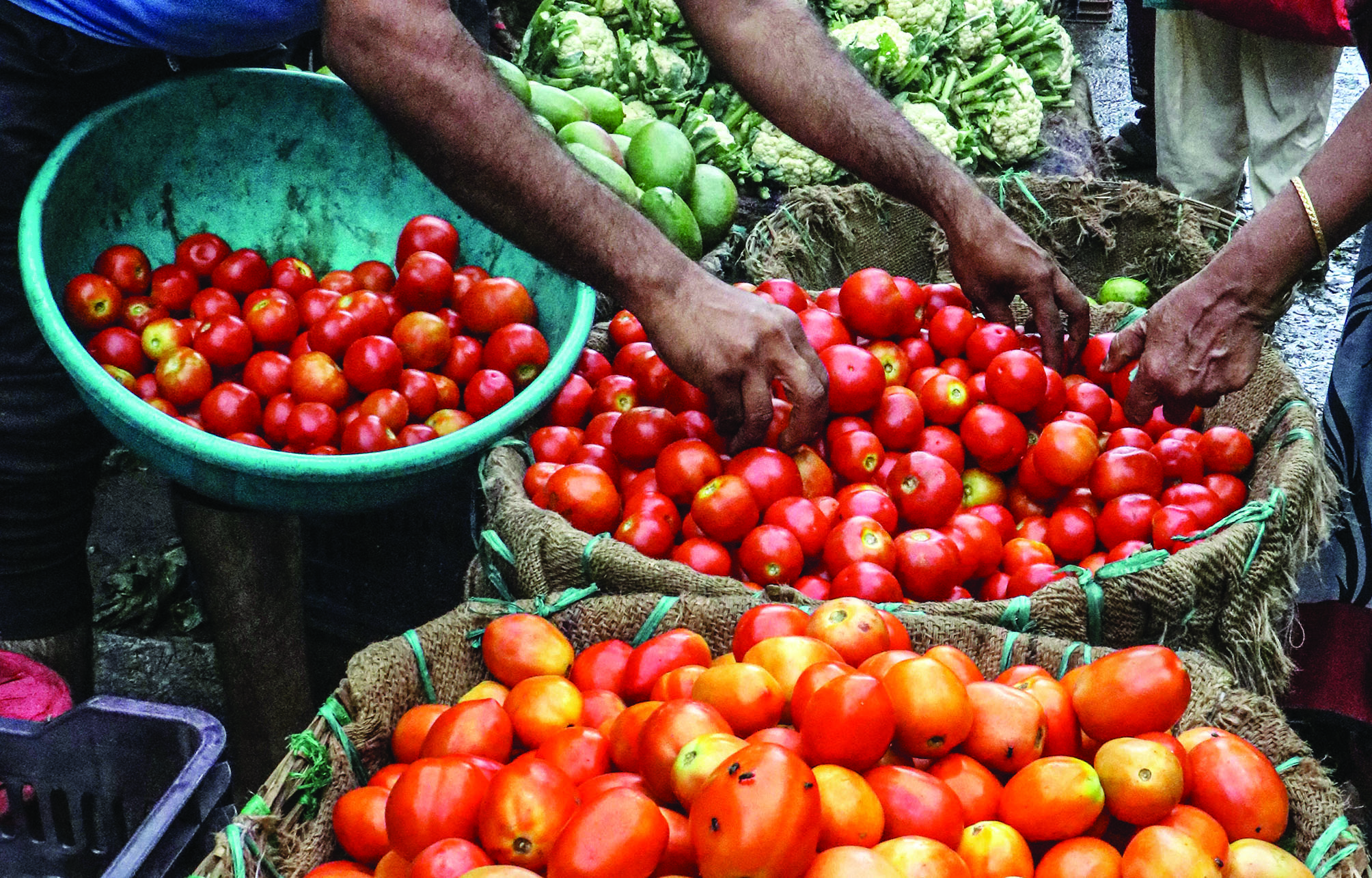 NCCF to sell tomatoes through mobile vans in Delhi-NCR at `90/kg from today: Govt officials