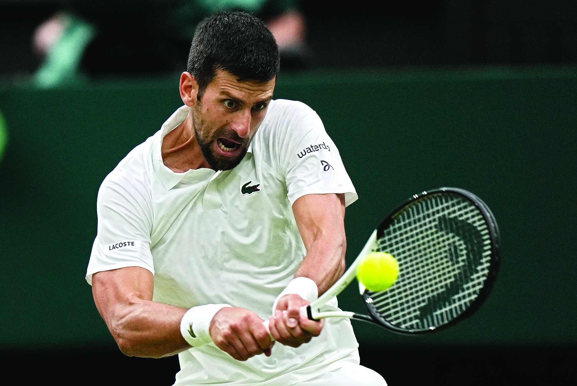 Djokovic defeats Jannik Sinner, reaches Wimbledon final