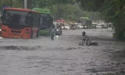 Three boys drown in floodwater in Delhi