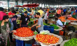 Govt reduces subsidised rate of tomato to Rs 80/kg with immediate effect in Delhi-NCR, other locations