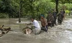 Flood situation in Assam remains grim, around 1 lakh affected