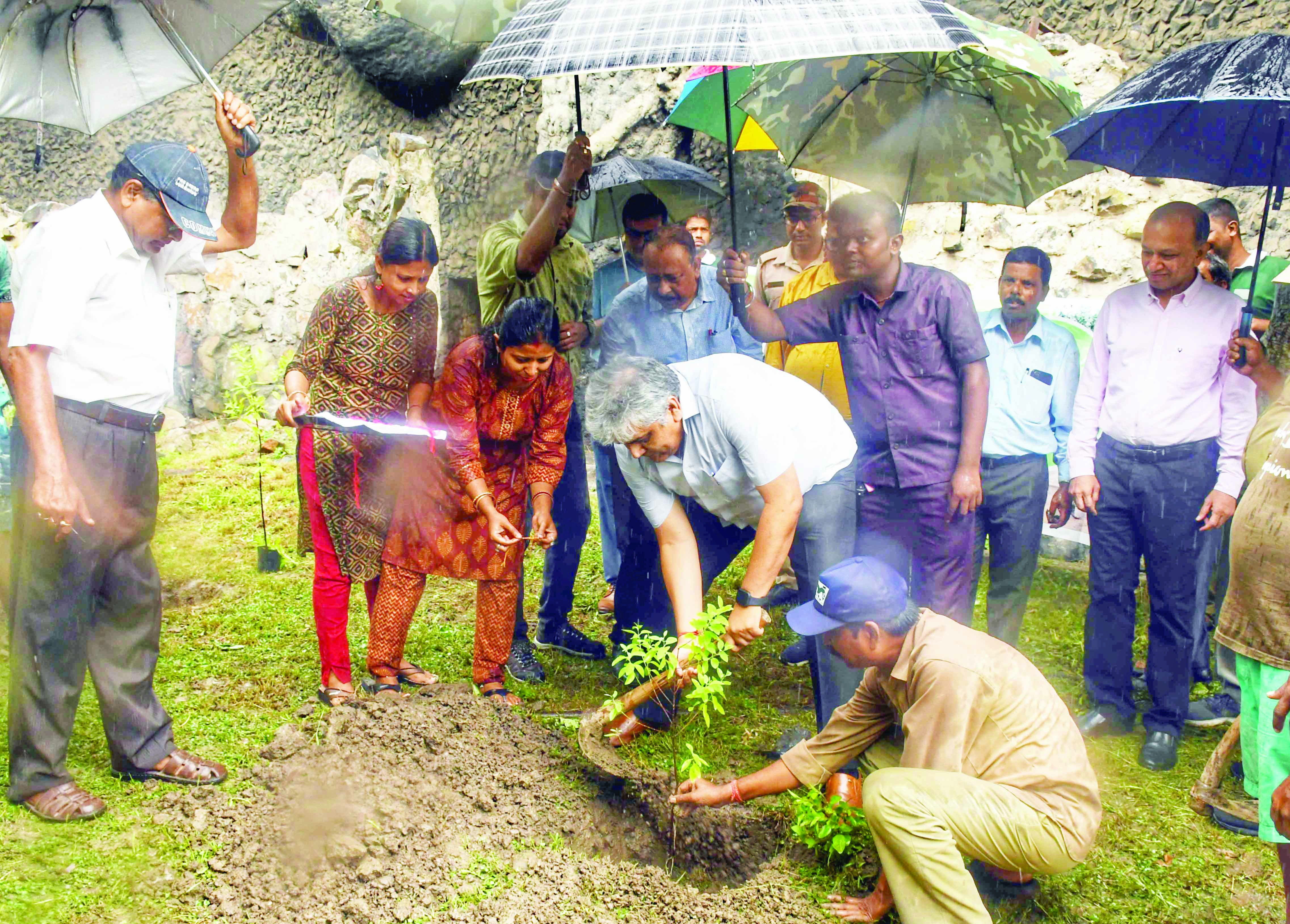 Alipore Zoo adds 2% greenery bringing the total to 33%