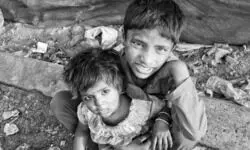 Managing a menace Managing a menace