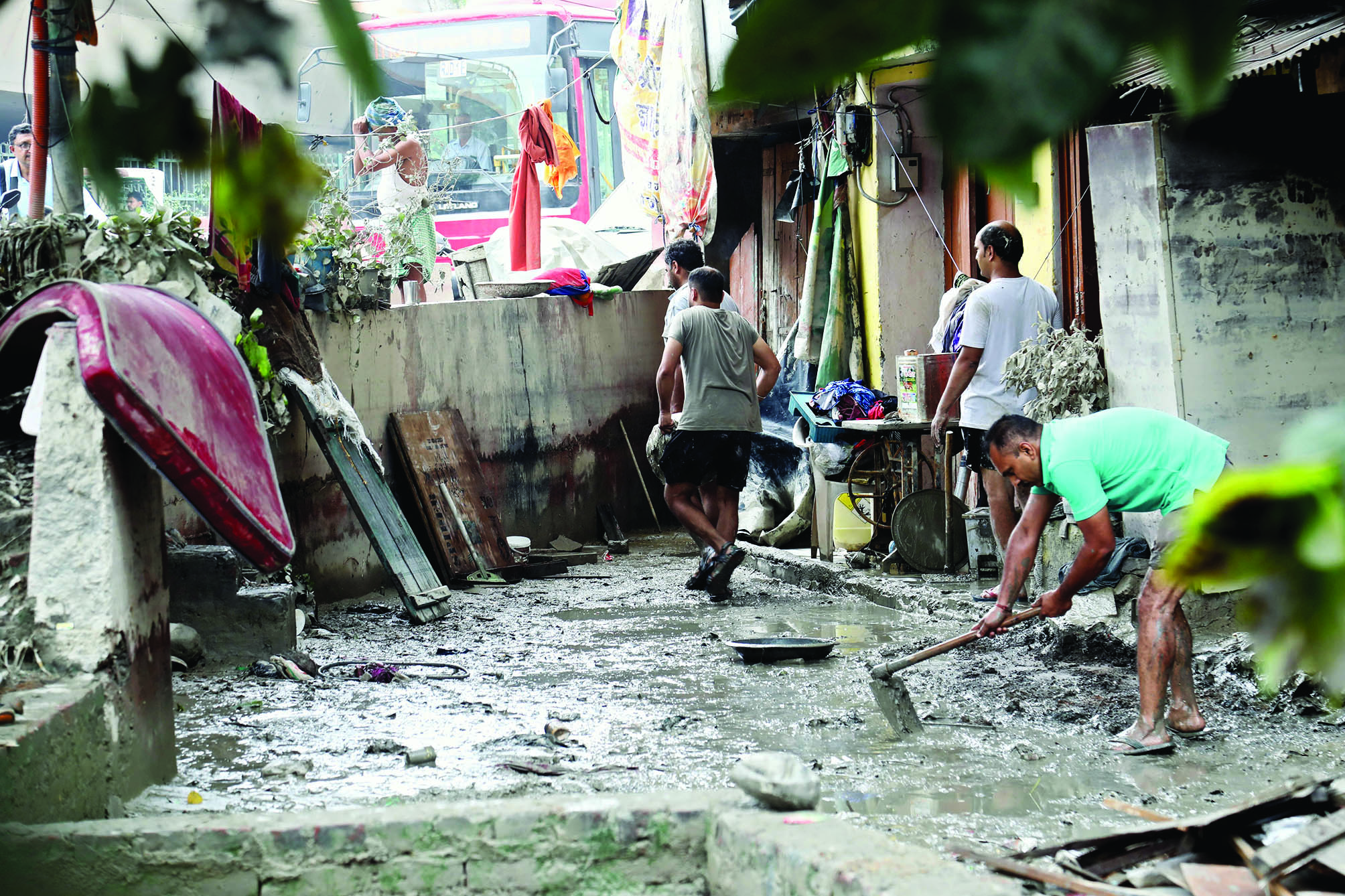 Surge in snake sightings as floodwaters recede, govt sets up rapid response team