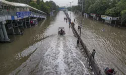 Glaring lapses Glaring lapses