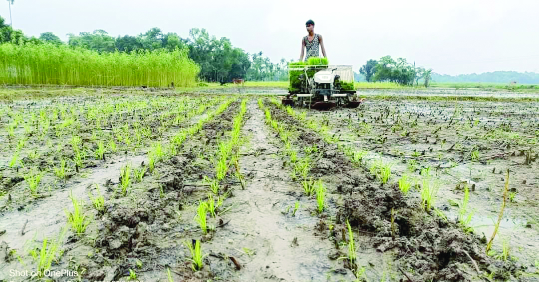 Cooch Behar to introduce rice transplanter machines across Gram Panchayats