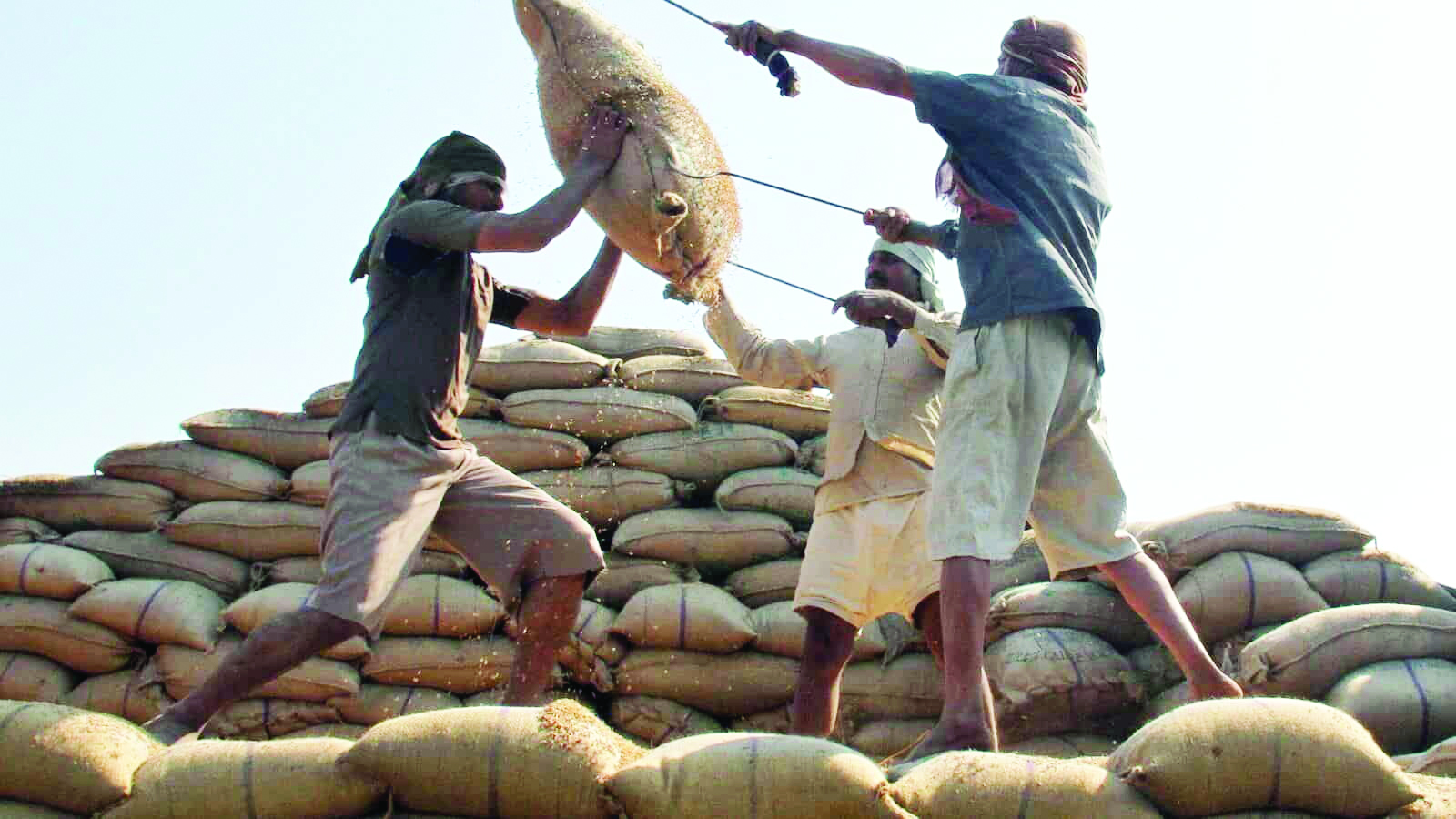 Government prohibits exports of non-basmati white rice