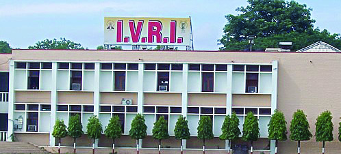 IVRI develops new cattle feed to increase milk yield IVRI develops new cattle feed to increase milk yield