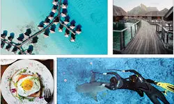 Bora Bora Enchanting Islands of French Polynesia