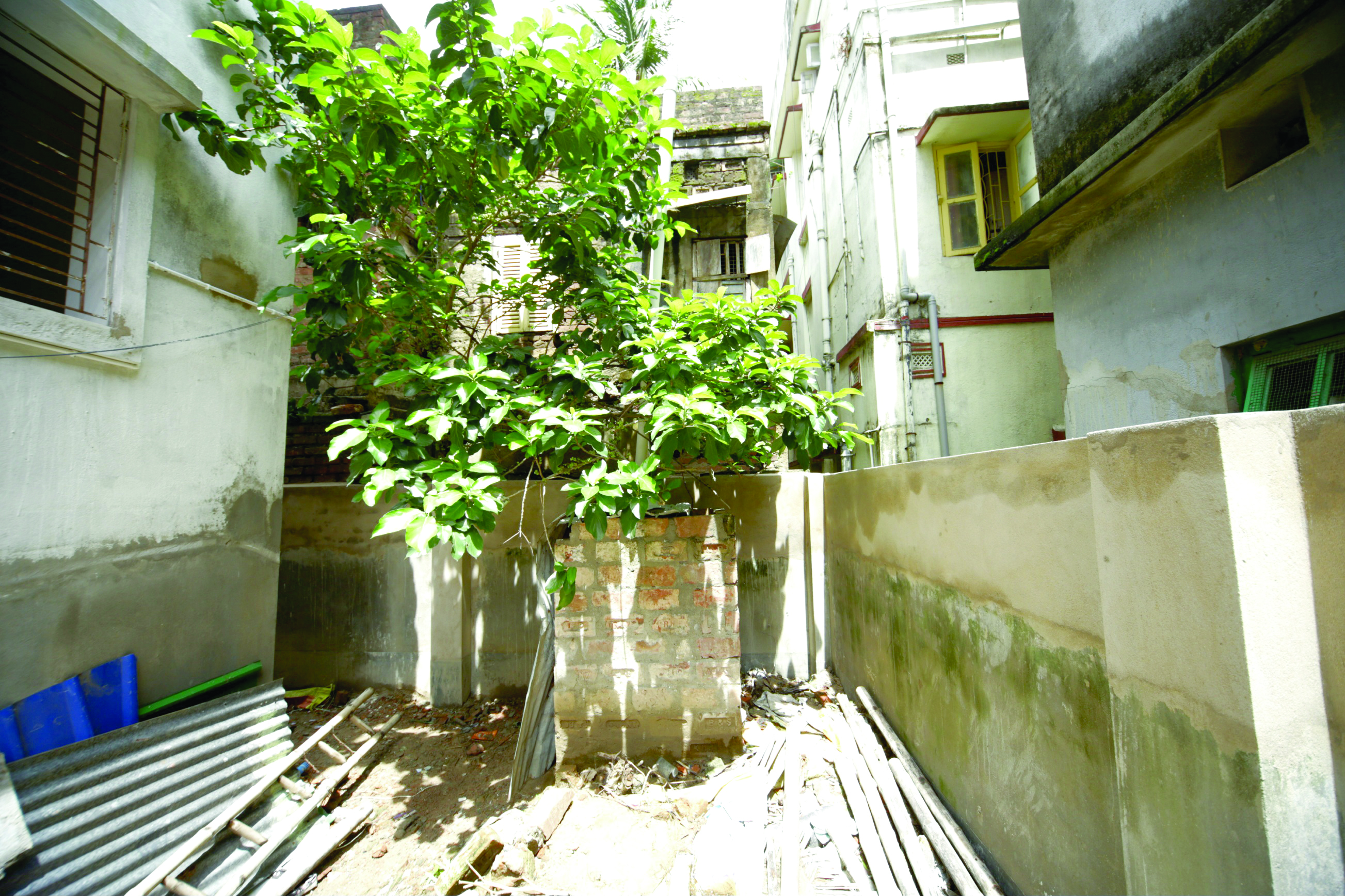 Netaji Nagar: Body of elderly missing since July 14 found in abandoned house
