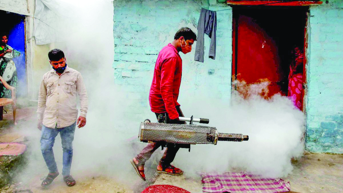 House-to-house mosquito larva surveys to continue till December