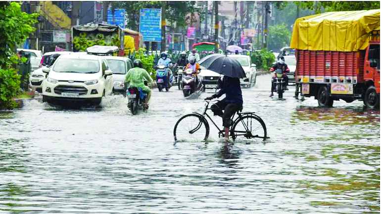 16 dead in rain-related incidents in Telangana during past week