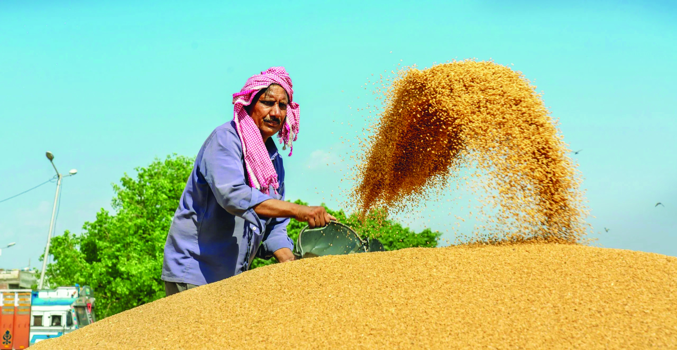 E-auction for wheat, rice by FCI’s Delhi region on August 2 E-auction for wheat, rice by FCI’s Delhi region on August 2
