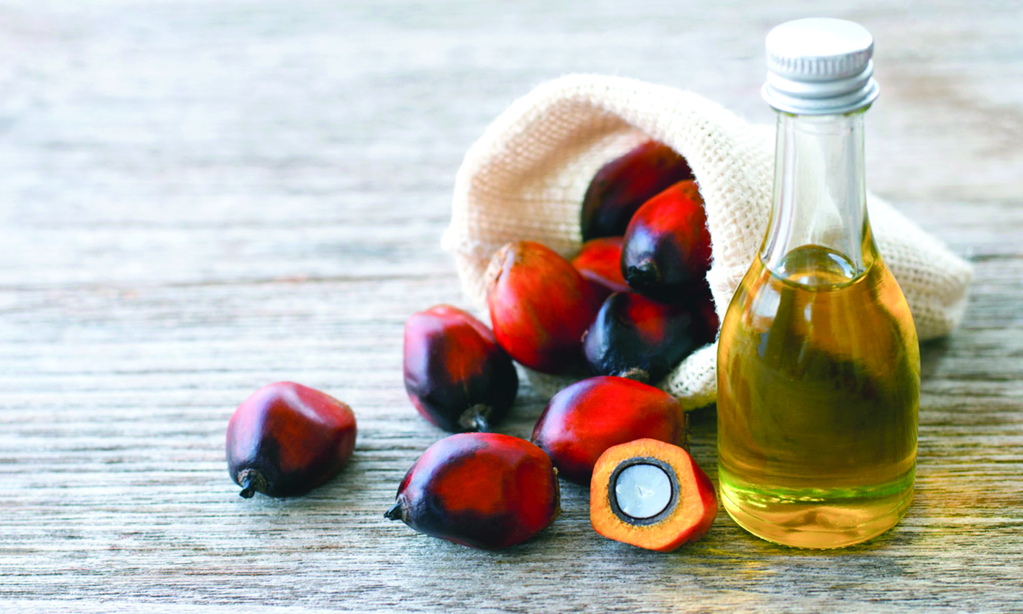 State govts, oil palm companies launch mega drive till August 12 State govts, oil palm companies launch mega drive till August 12