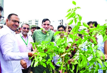‘Van Mahotsav’ celebrated with great fervour ‘Van Mahotsav’ celebrated with great fervour