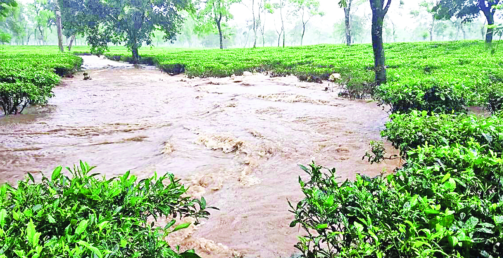 Need Centre’s intervention to control floods in Dooars: Irrigation minister