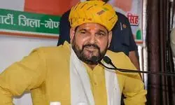 NGT panel set to probe allegations of illegal mining by BJP MP Brij Bhushan Singh NGT panel set to probe allegations of illegal mining by BJP MP Brij Bhushan Singh