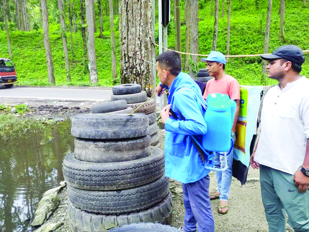 ‘Changing weather could be aiding mosquitoes to breed in the Hills’