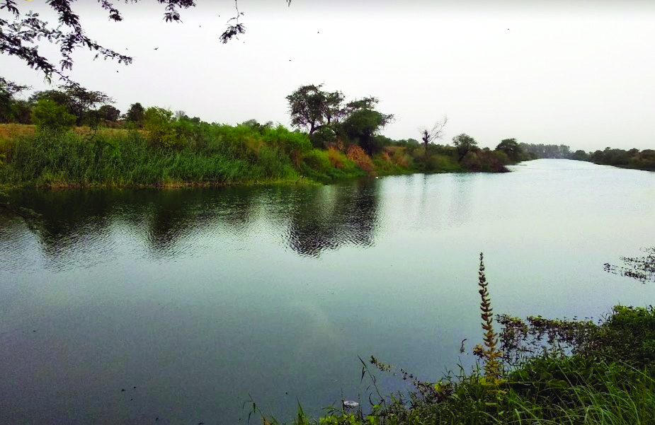 SC sets aside NGT order delegating task of Najafgarh lake rejuvenation to panel headed by Delhi L-G SC sets aside NGT order delegating task of Najafgarh lake rejuvenation to panel headed by Delhi L-G