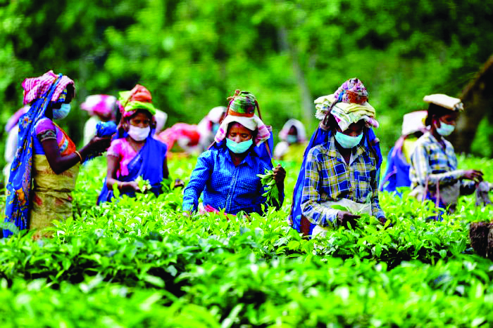 Joint survey to identify vacant land to begin soon in Alipurduar Joint survey to identify vacant land to begin soon in Alipurduar