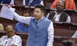 Delhi services bill a political fraud, constitutional sin aimed at taking away powers of elected govt: Raghav Chadha