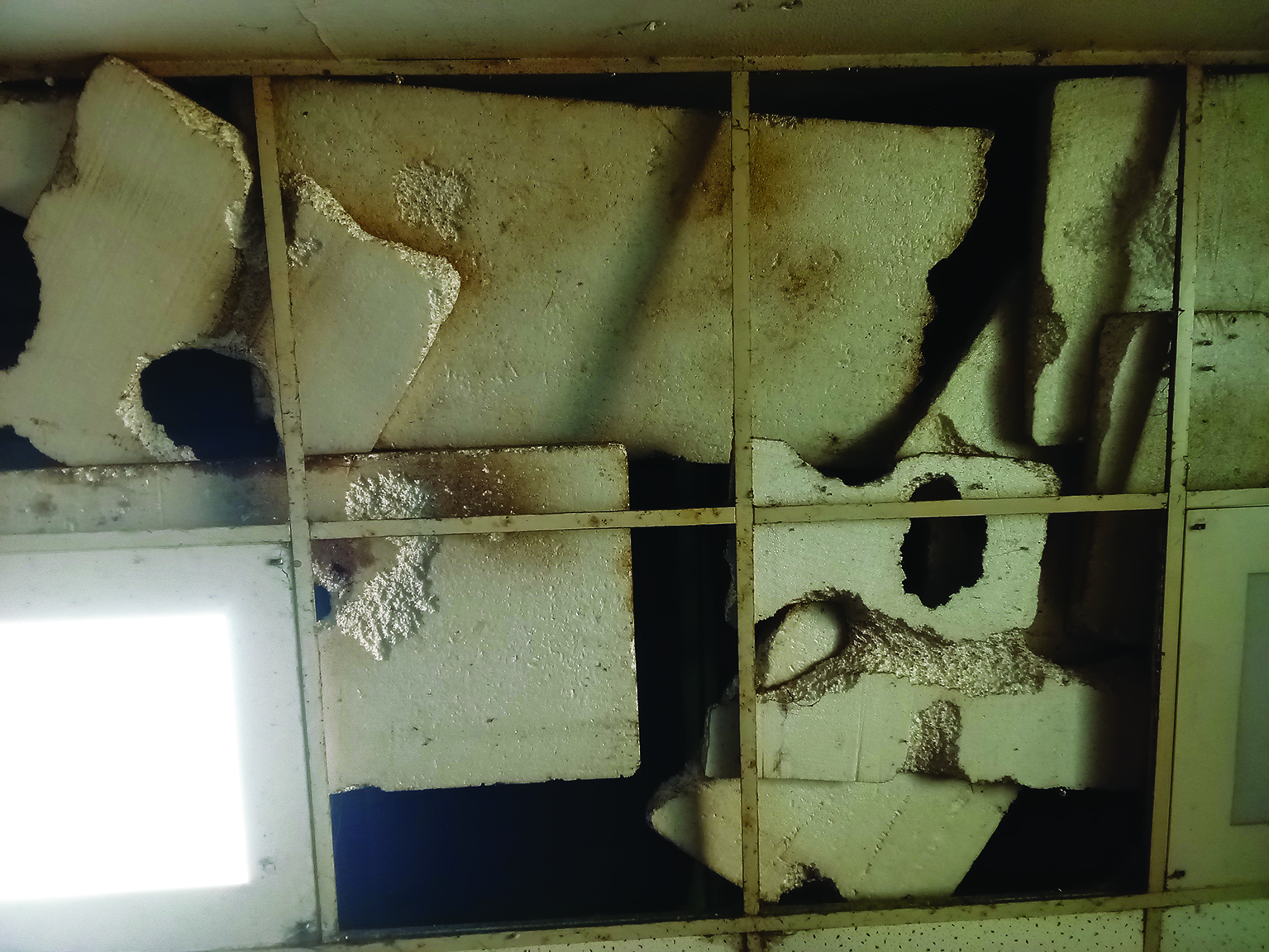 Fund crunch leads to infra woes at Animal Birth Control centres