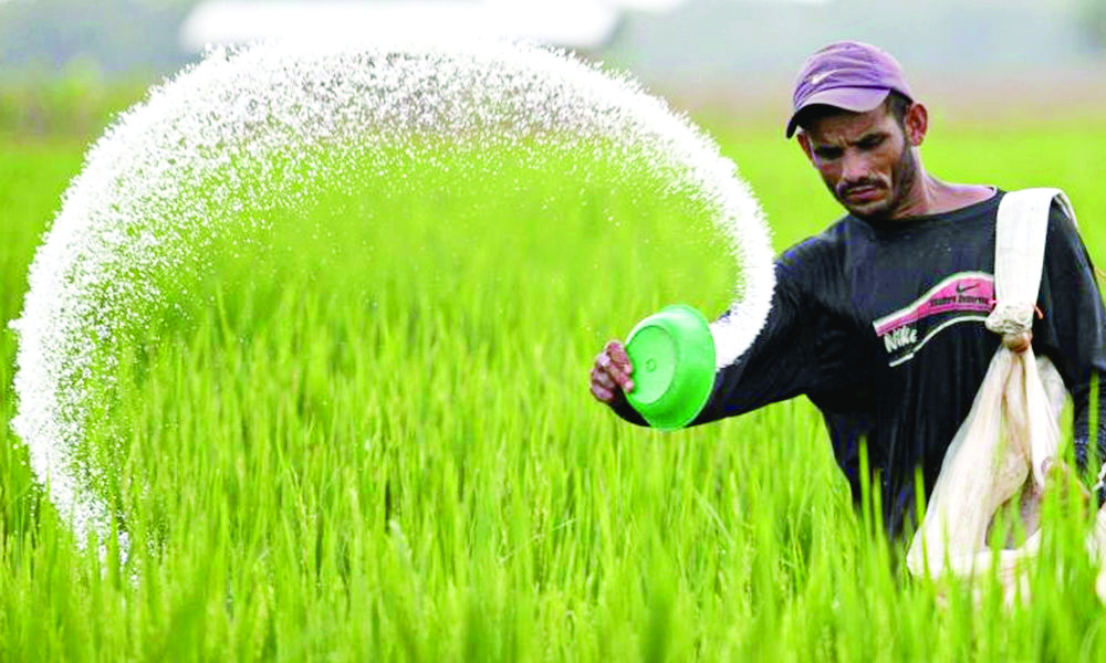 Centre should propose to GST Council to cut tax rates on fertilisers: Parl panel Centre should propose to GST Council to cut tax rates on fertilisers: Parl panel