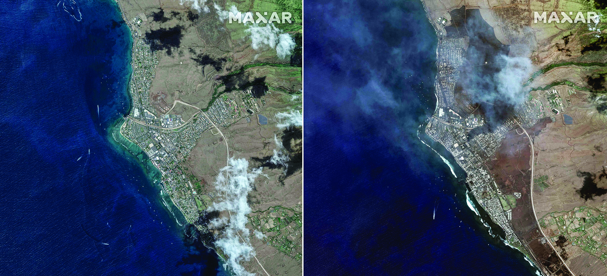At least 36 killed on Maui as fires burn through Hawaii