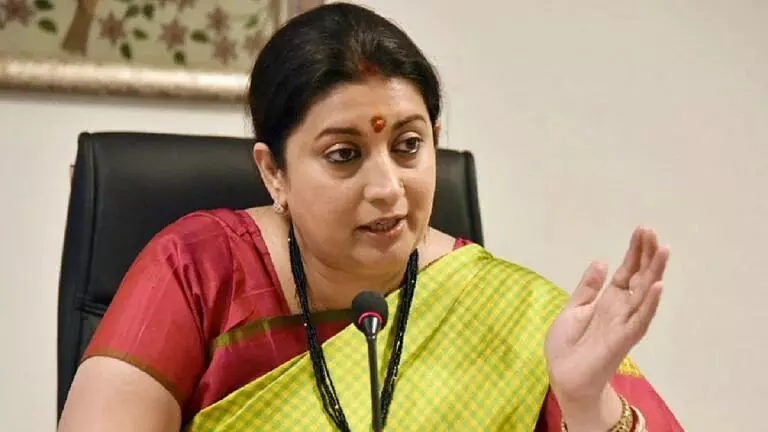 Families, not schools, responsible to inculcate reading habits in children: Smriti Irani