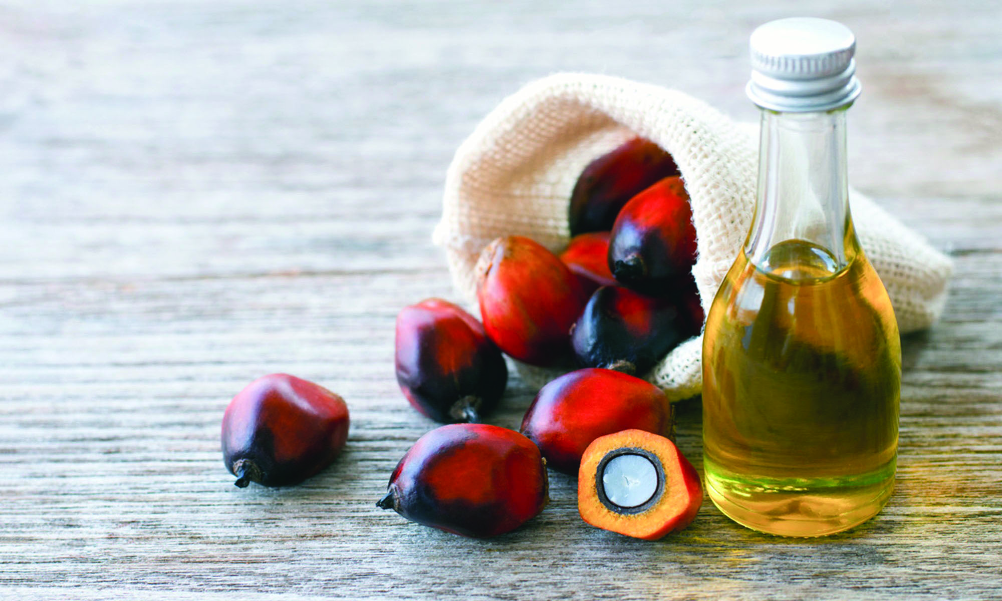 Oil palm cultivation undertaken in 11 states in three-week mega drive