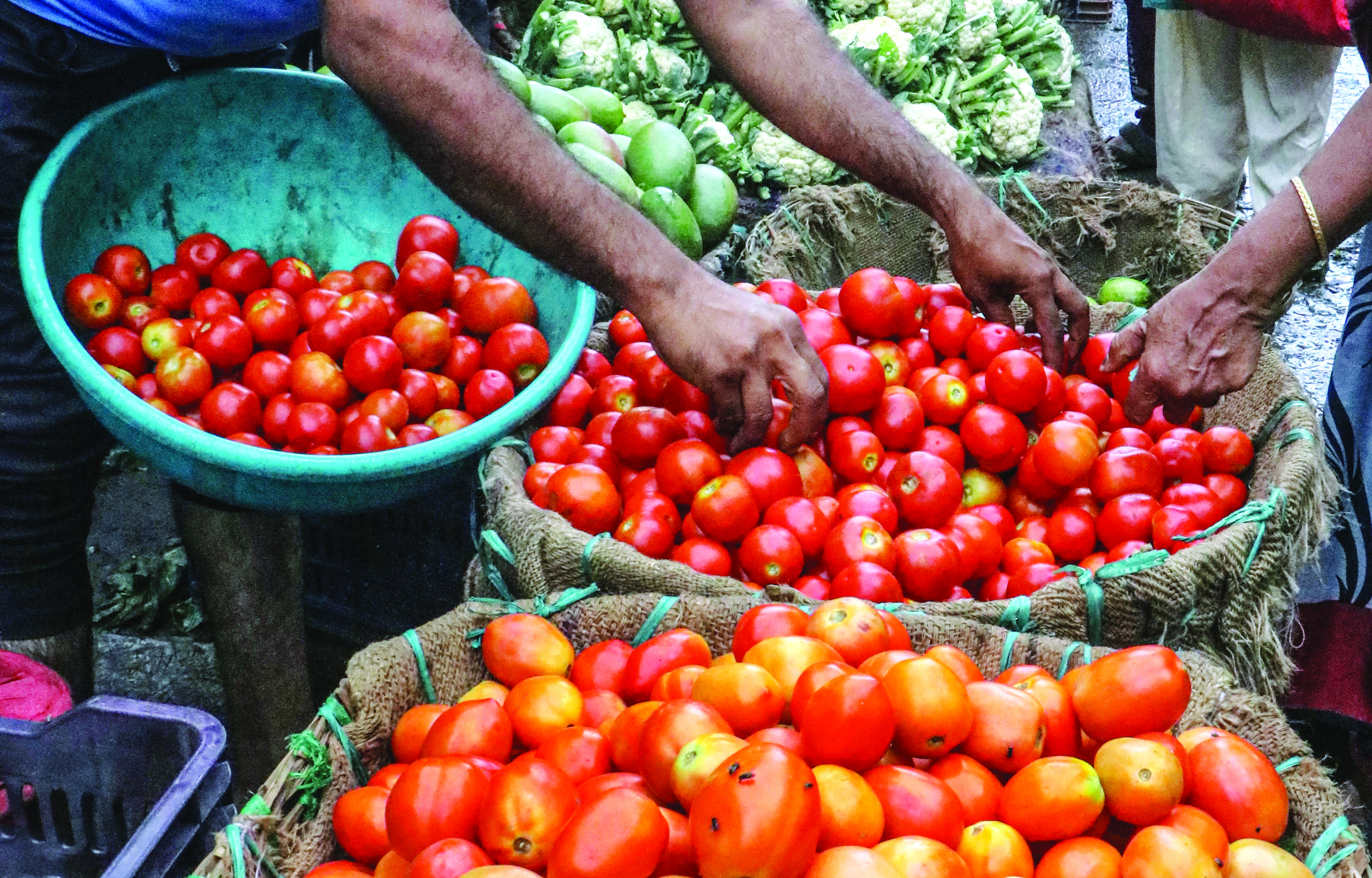 Nepal ready to supply tomatoes to India; seeks easier access to market Nepal ready to supply tomatoes to India; seeks easier access to market