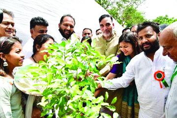 Minister kick-starts fifth Van Mahotsav