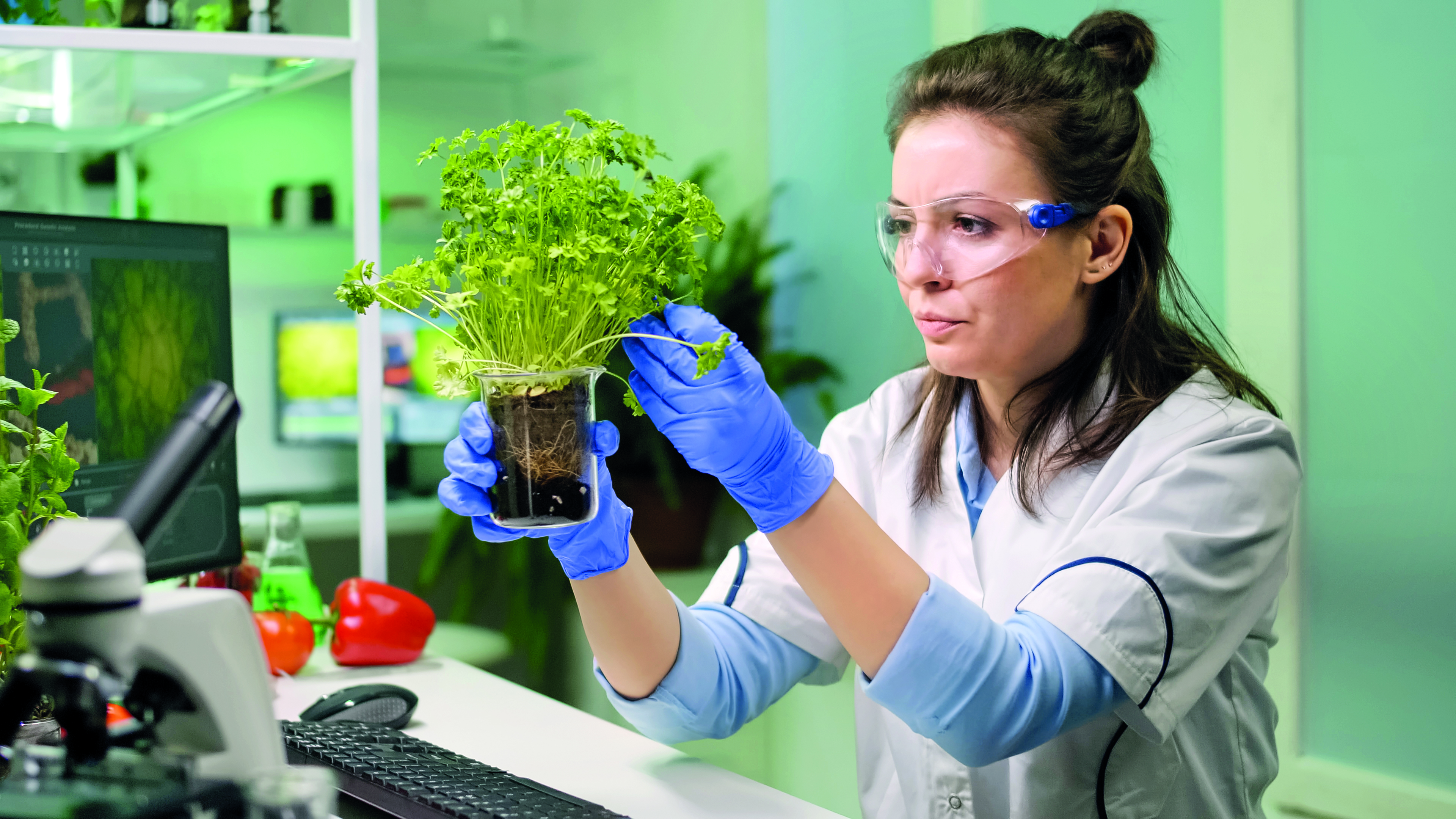 Green Revolution Green Revolution