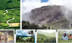 Munnar -  A land of verdant charms