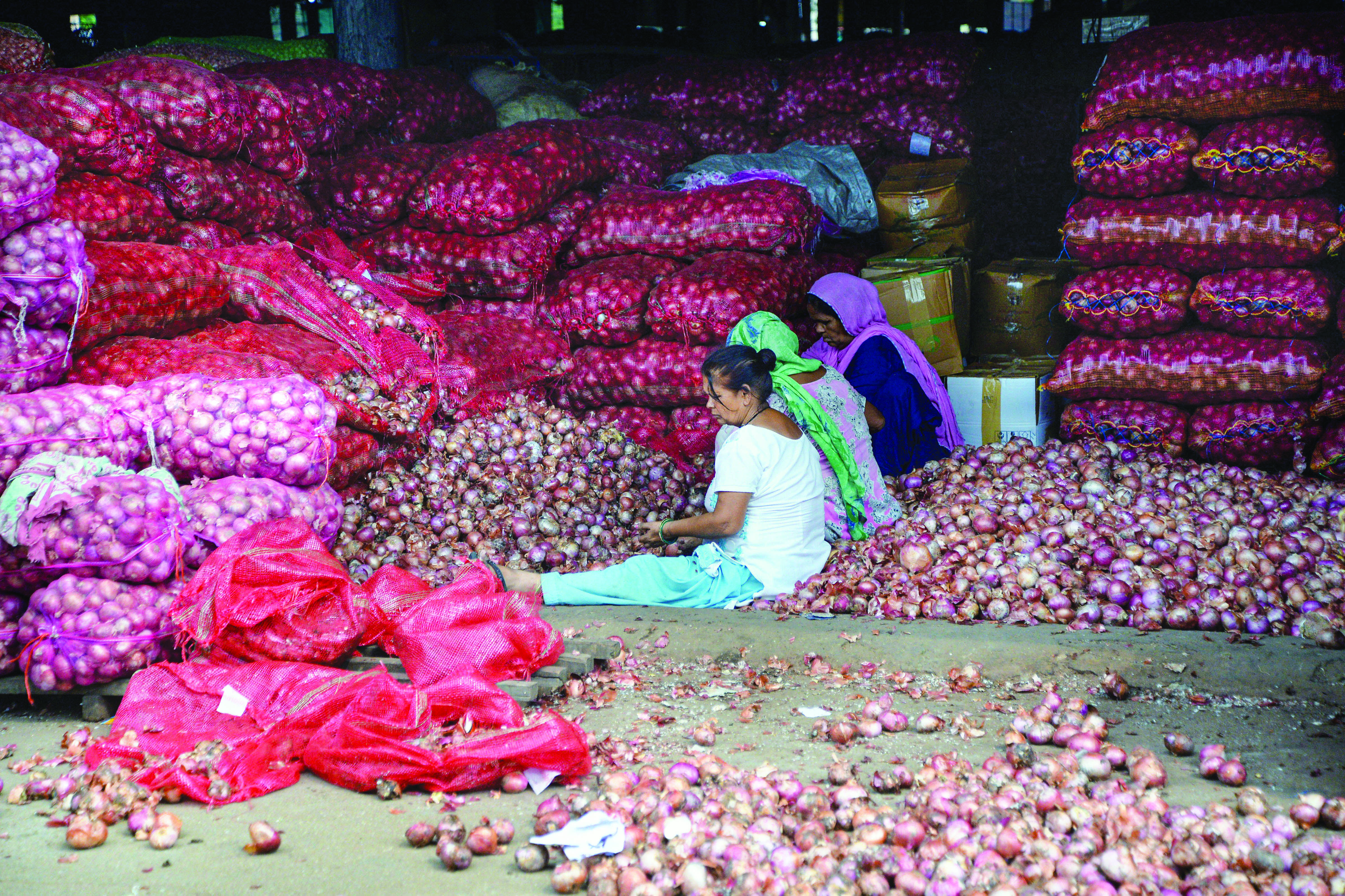 Govt imposes 40% export duty on onion to increase local supply, check price rise