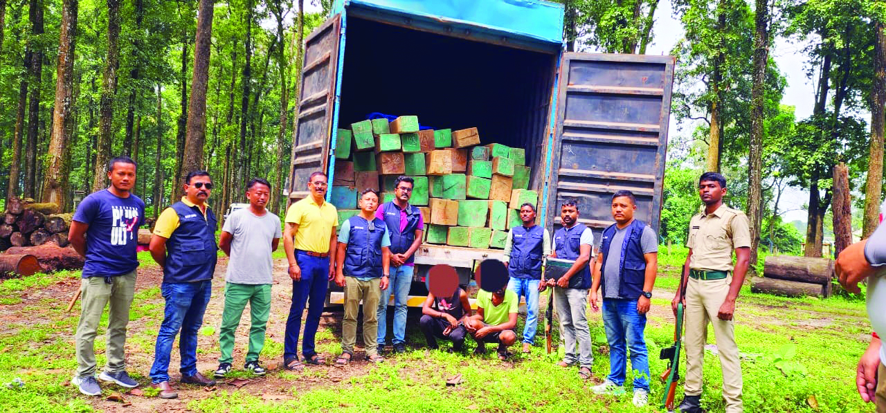 Siliguri: STF arrests two with illegal timber worth Rs 60 lakh
