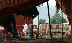 Disquieting reverberations Disquieting reverberations