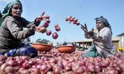 A prudent intervention?