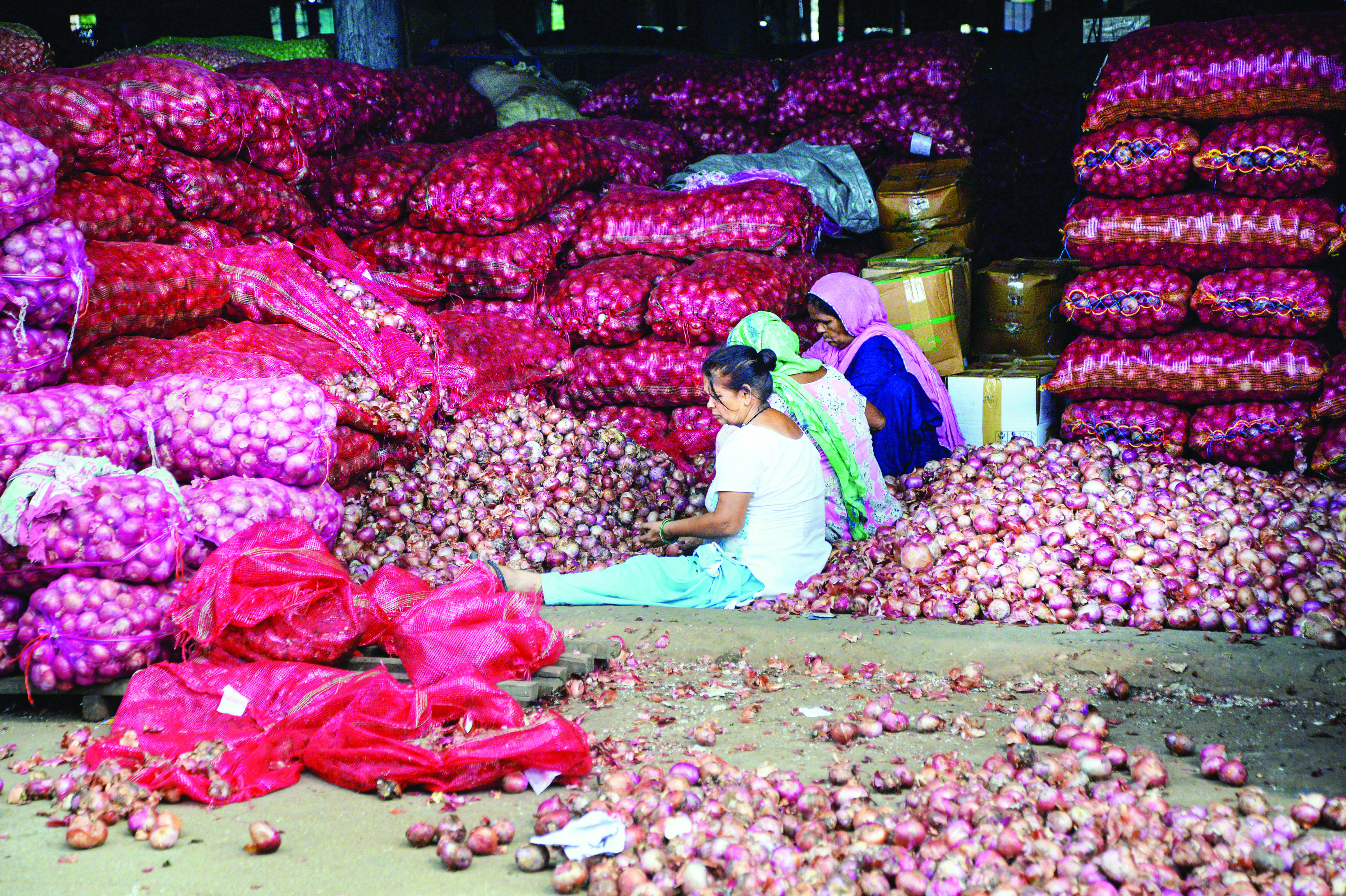 Centre to procure 2L tonnes of onion to create total 5L tonnes buffer stock