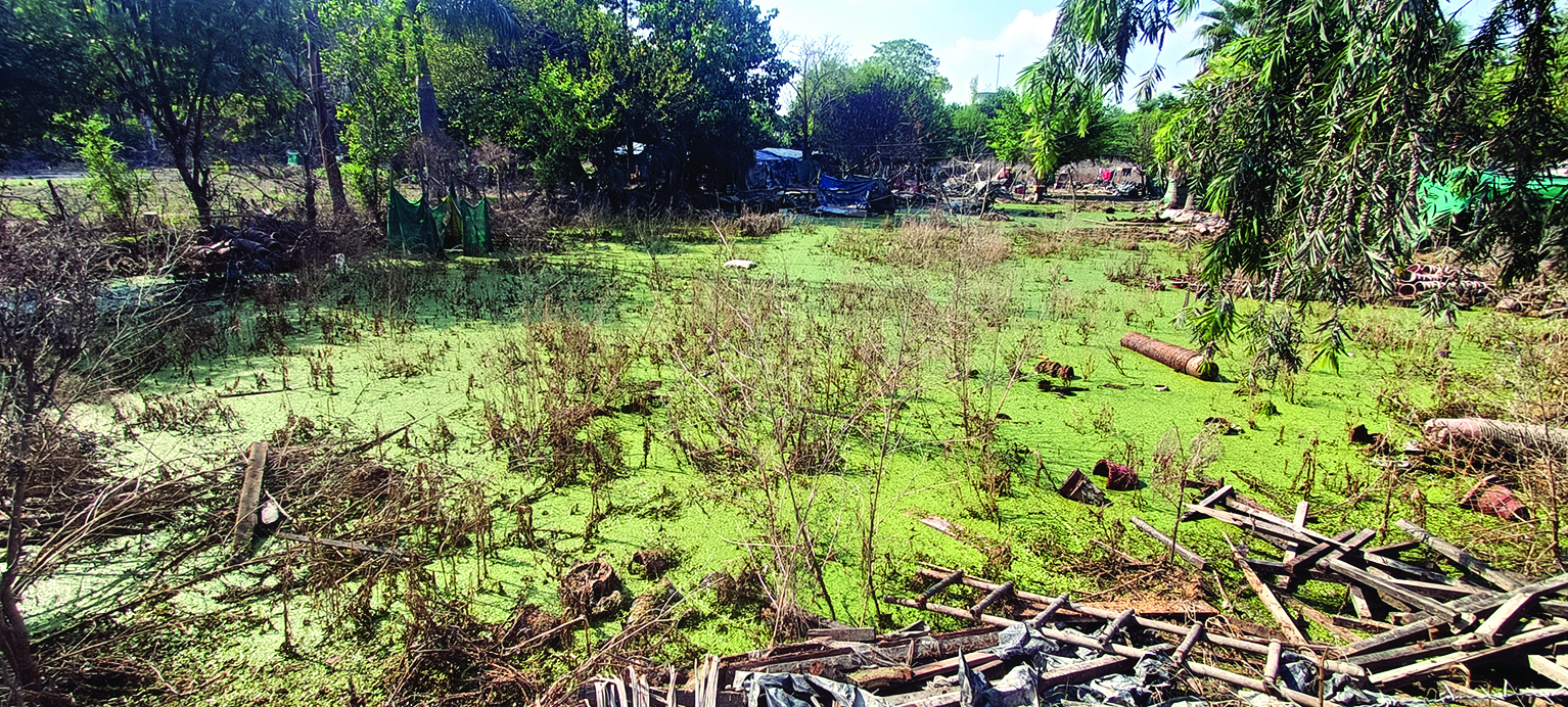 People near Yamuna stare at dengue menace amid stagnant water People near Yamuna stare at dengue menace amid stagnant water