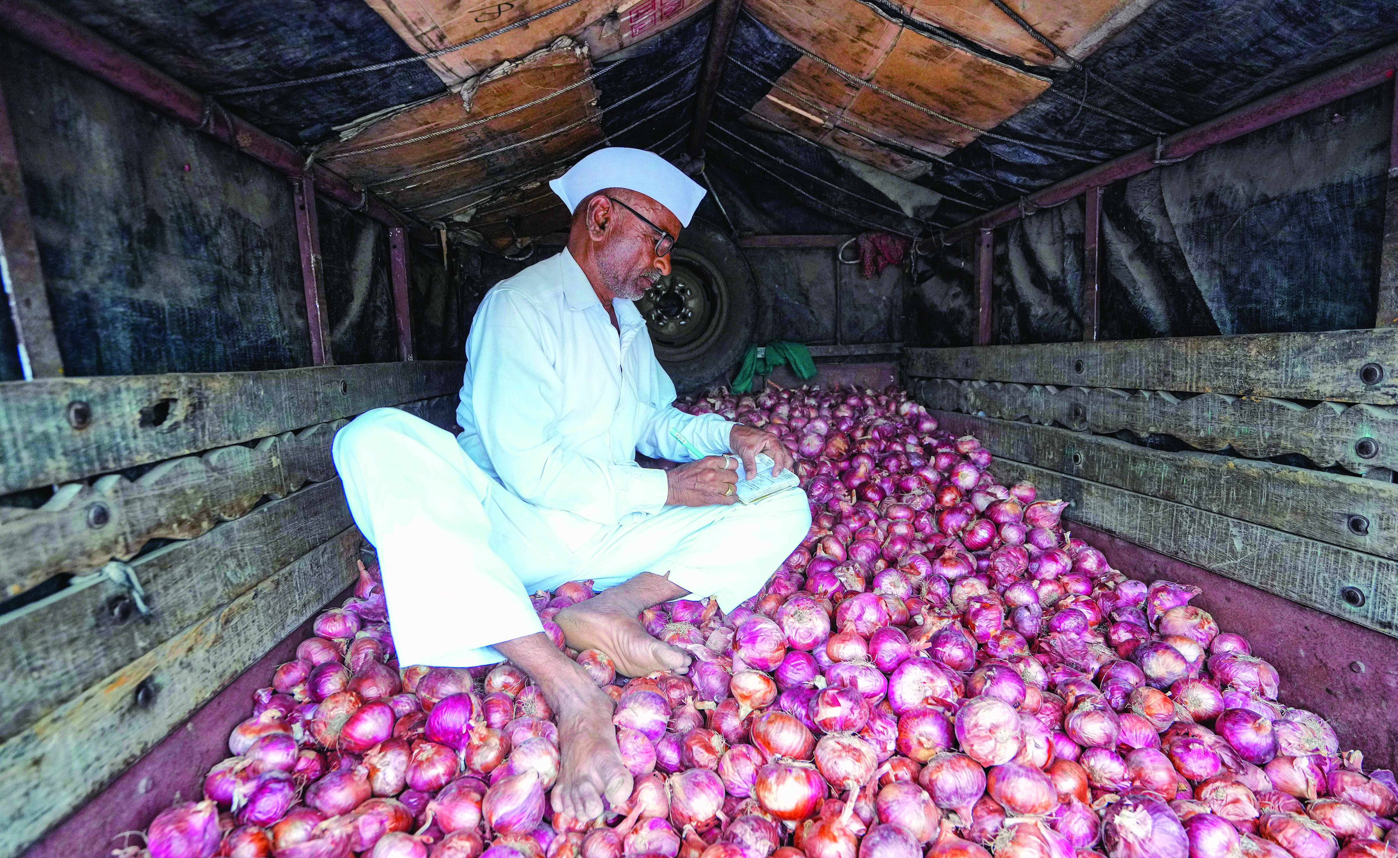 After tomatoes, govt to sell onions at discounted price After tomatoes, govt to sell onions at discounted price