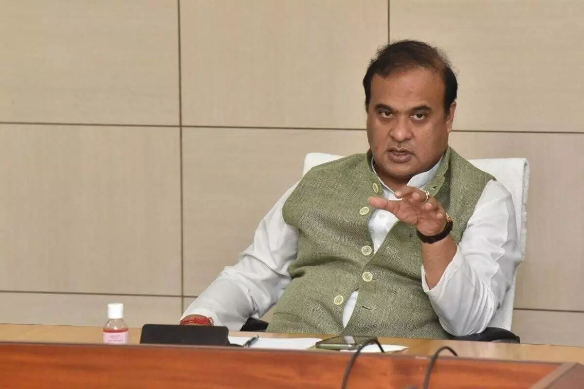 Assam CM Himanta Biswa Sarma rubbishes old and new BJP tussle