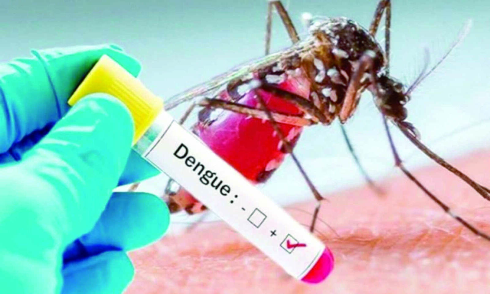 Class VI student from New Alipore dies of dengue