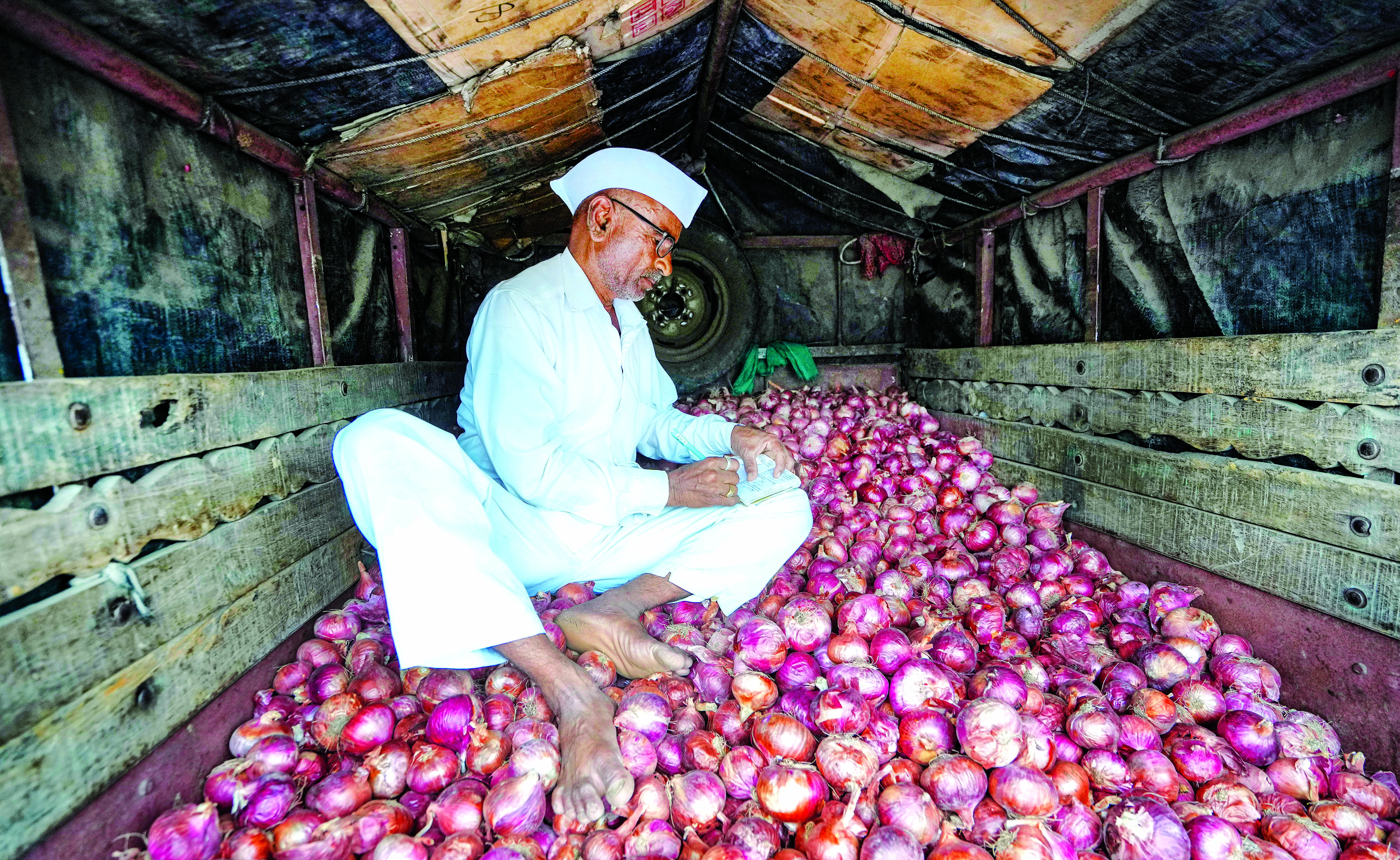 NCCF procures 2,826 tn onion from farmers for buffer stock
